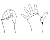 illustration of wrist in cast, with fingers bent then straight