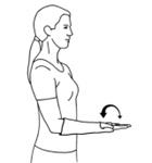 Illustration of woman with arm bent at elbow and forearm out front, she is rotating her hand - palm up then palm down