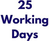 25 working days