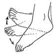 ankle exercises.jpg