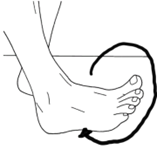 Ankle rotation