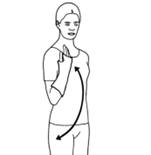 illustration of arm being bent and straightened at elbow