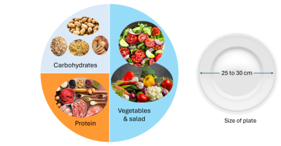 Image showing 50% vegetables and salad, 25% carbohydrates and 25% protein.  Also shows a plate size 25 to 30 cm diameter