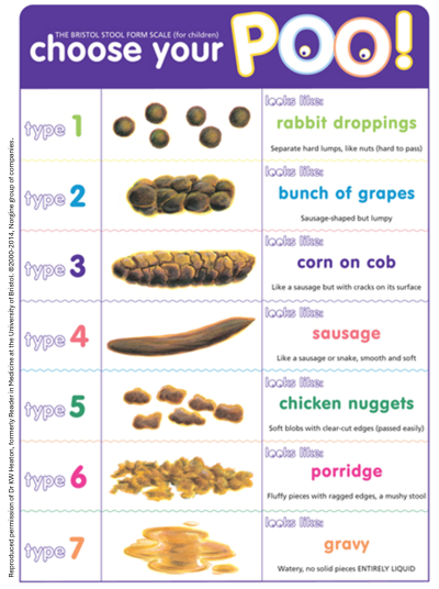 Poo chart image