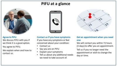 PIFU at a glance.jpg