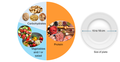 Image showing plate make-up of 50% protein, 30% vegetables and salad and 20% carbohydrates, on a plate sized 15 to 18 cm